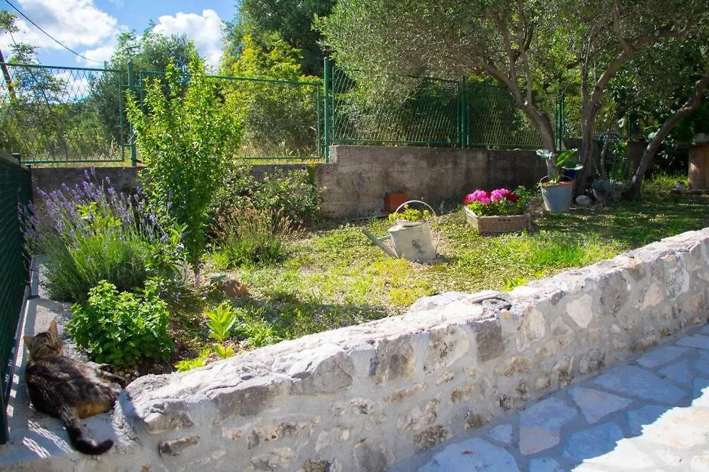 Holiday home House Duje Villa Plano